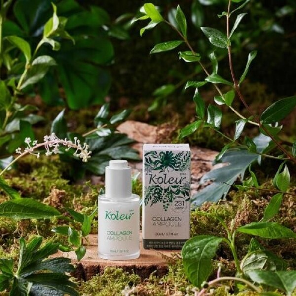콜레르 콜라겐 앰플